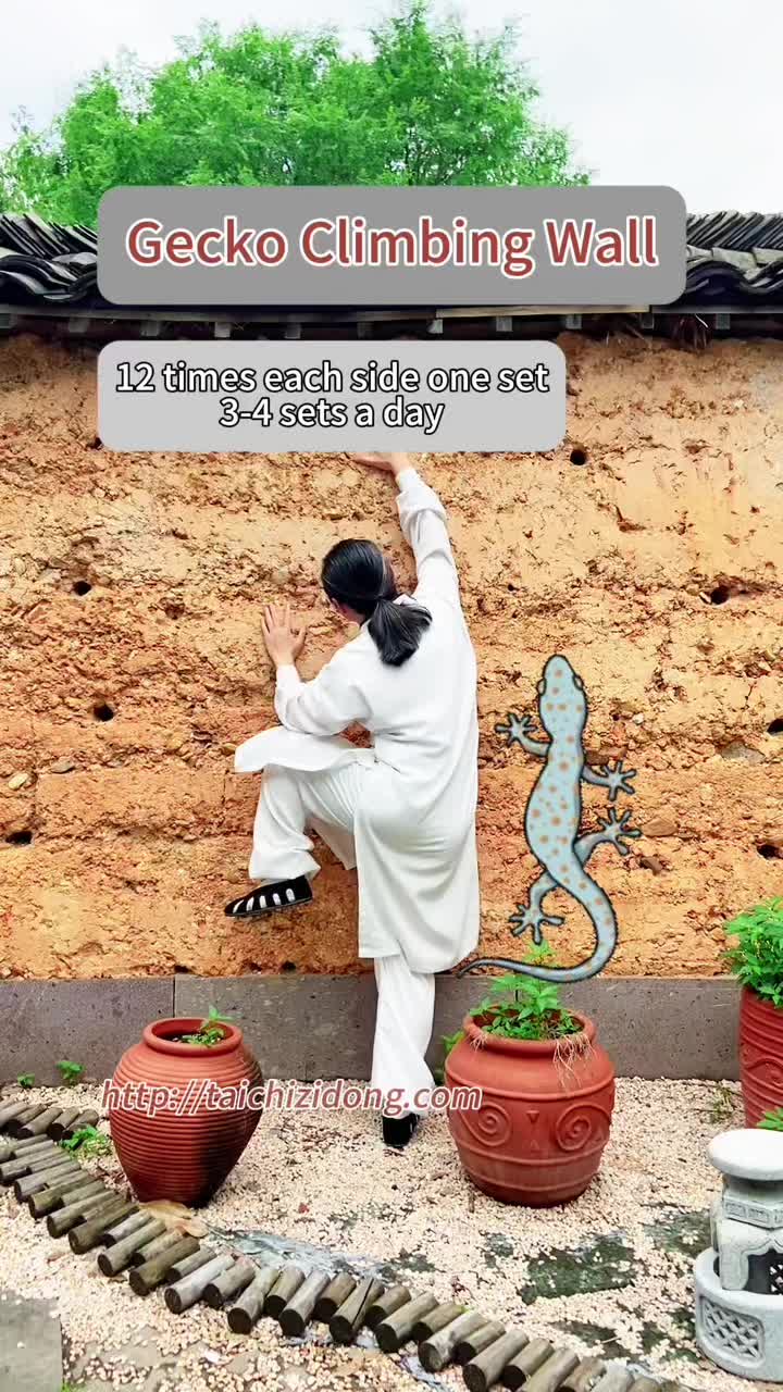 @Taichi.Zidong