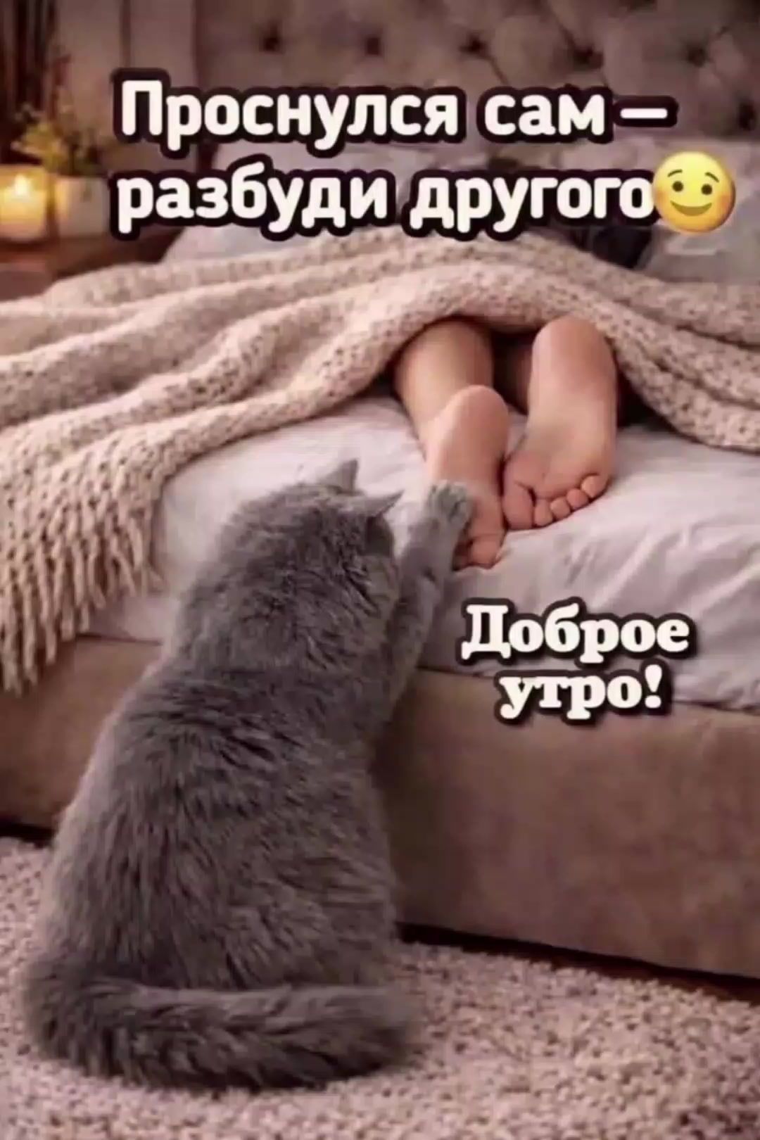 День начинается не с кофе а со стонов День начинается не с кофе а со стонов