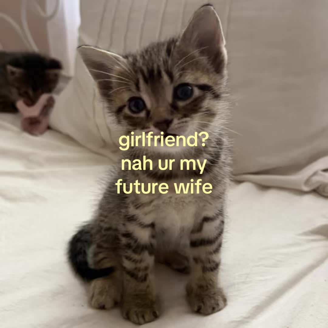 @motionsoflove