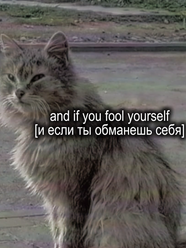 @yfoahra ☯