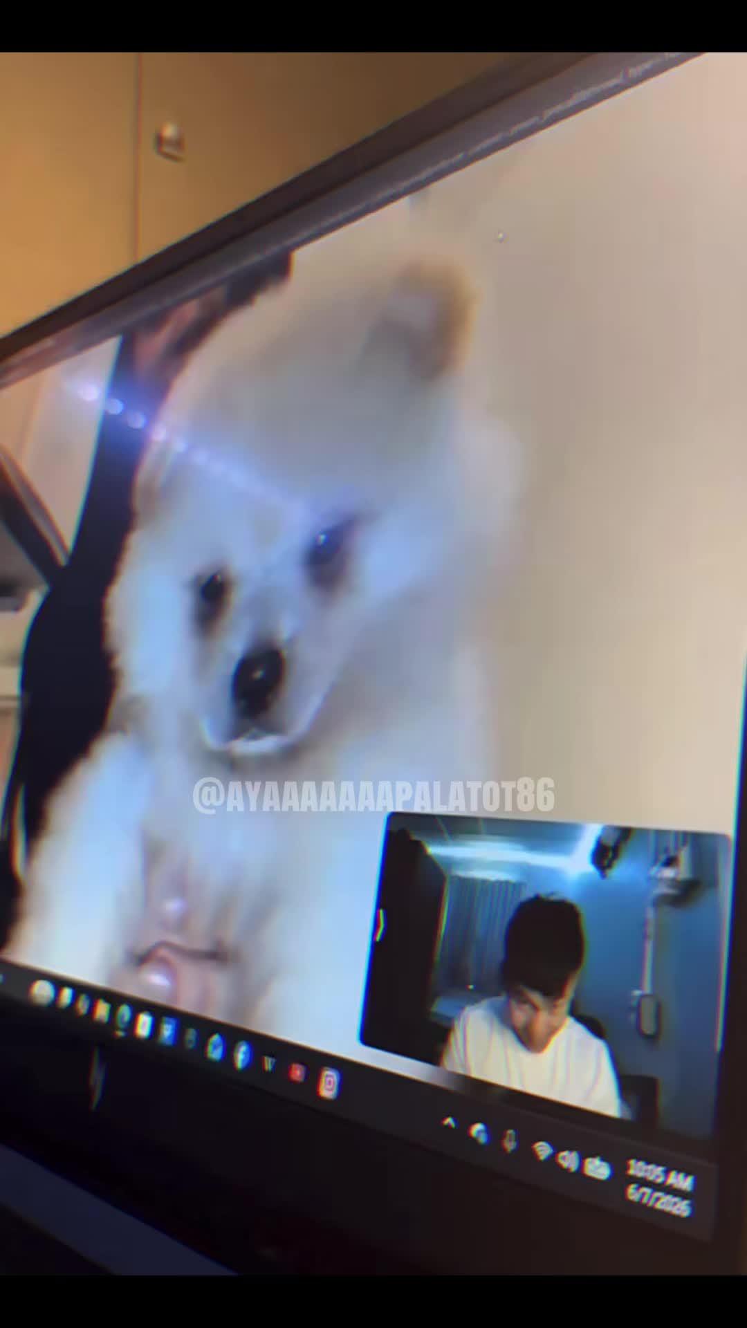 @Its_me_ayaaatottt