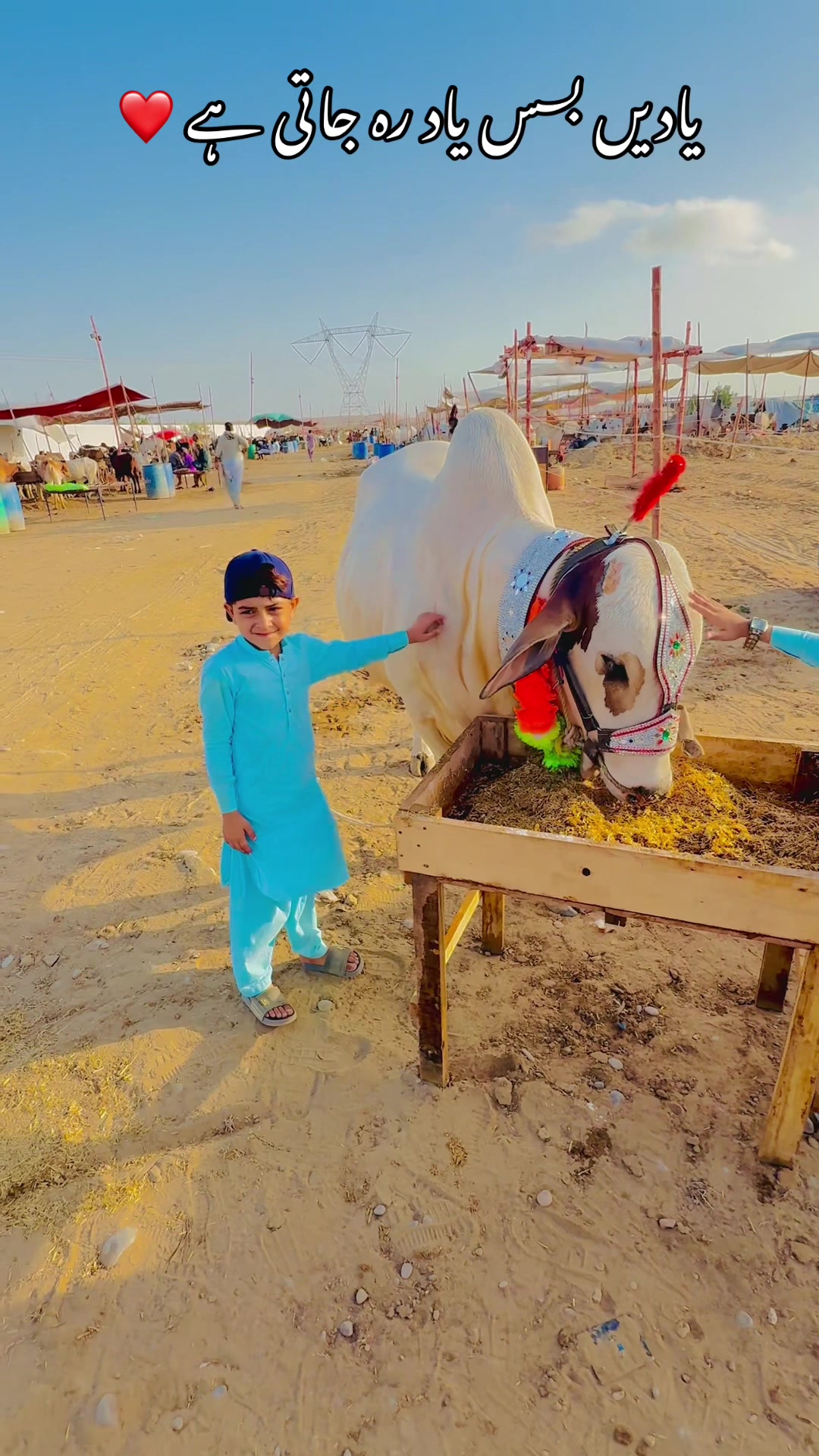 @Dr khan✅🇵🇰