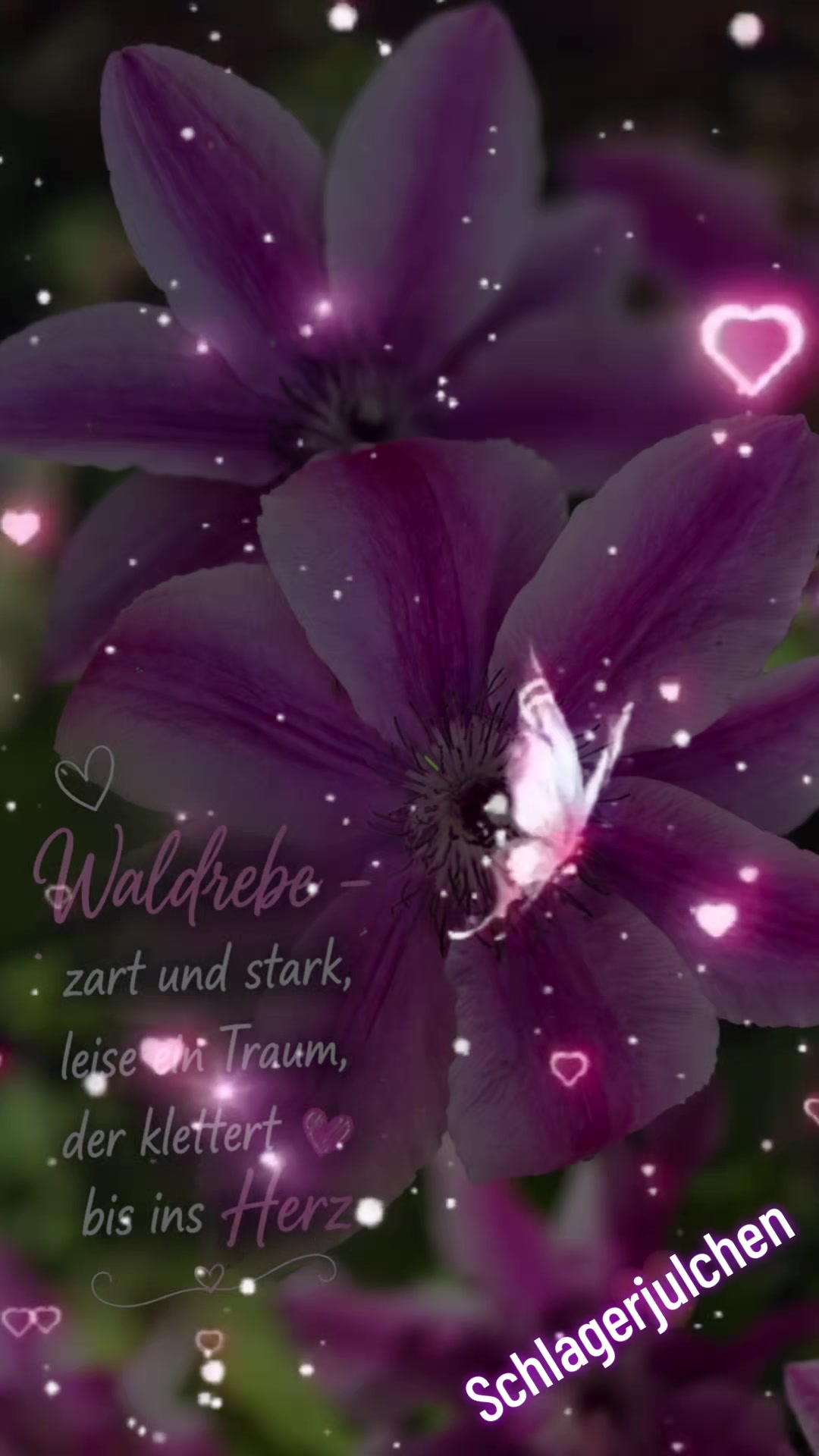 @☞︎︎︎🅙︎🅤︎🅛︎🅒︎🅗︎🅔︎🅝︎☜︎︎︎