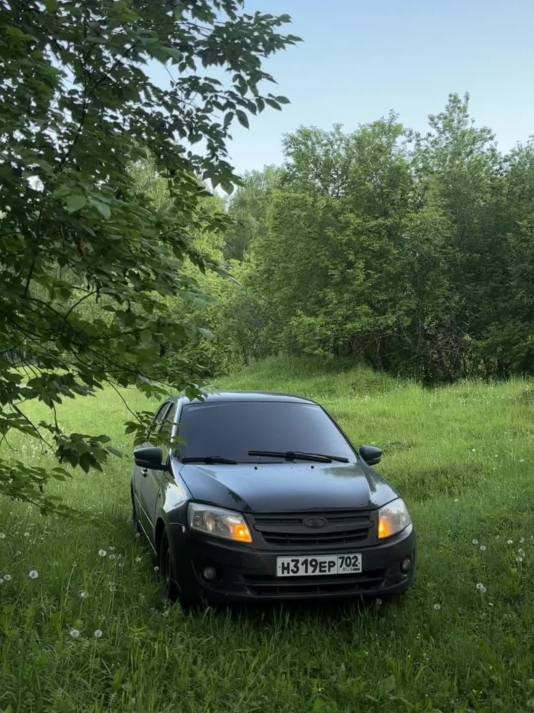 @Виолетта на гранте🖤