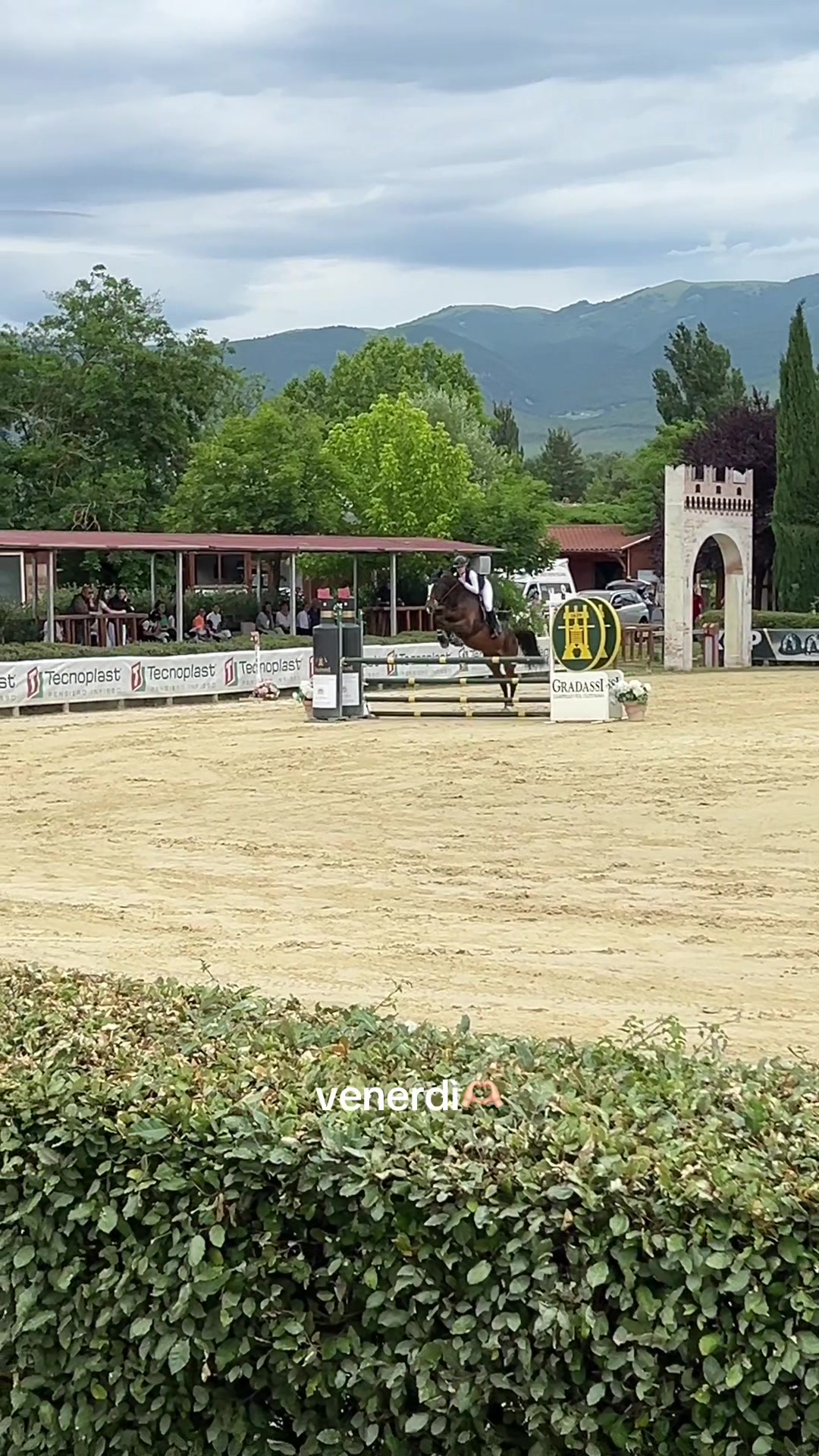 @giuli⭐️