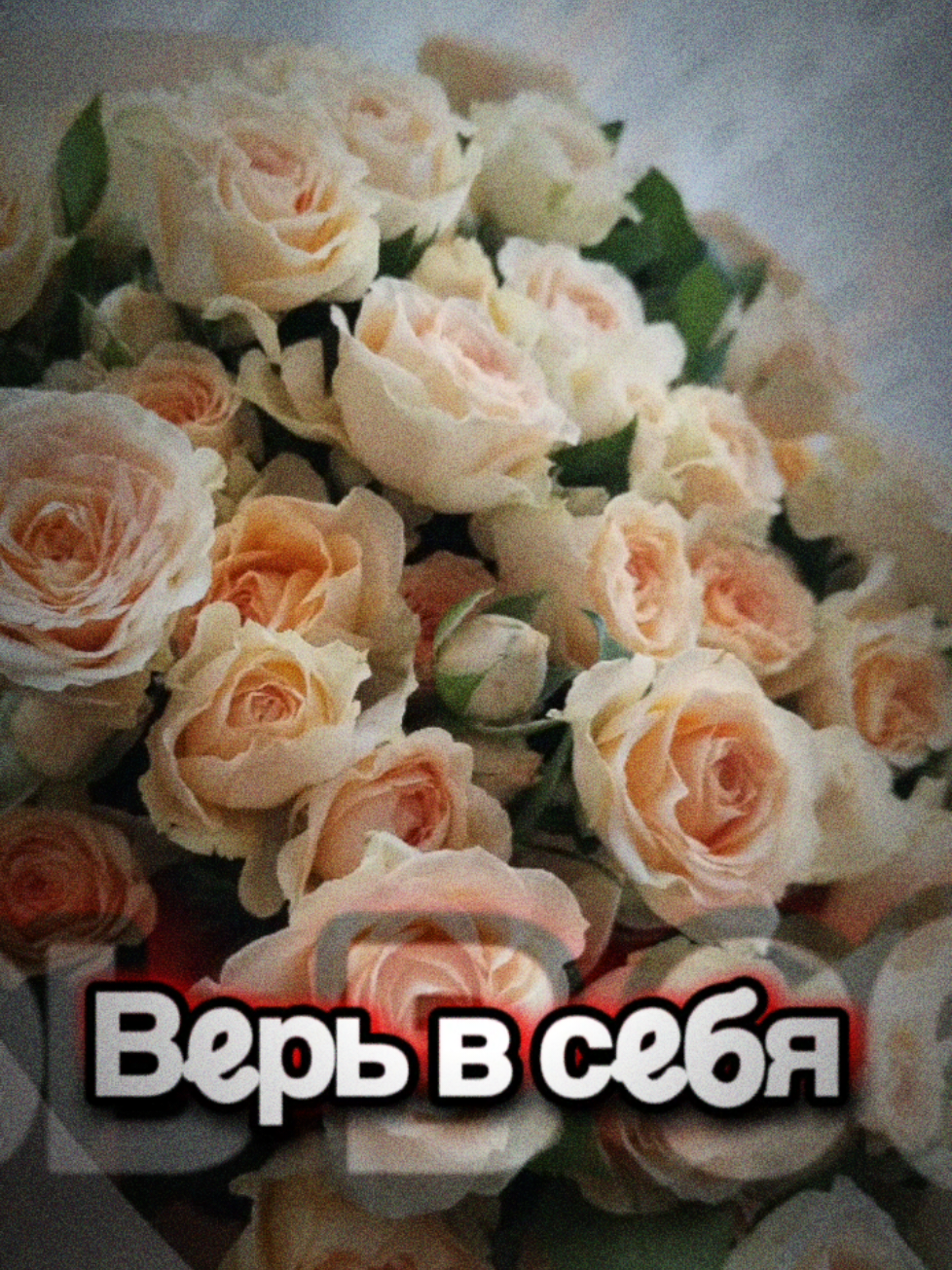 @&spades;️chornaya_koshka&spades;️