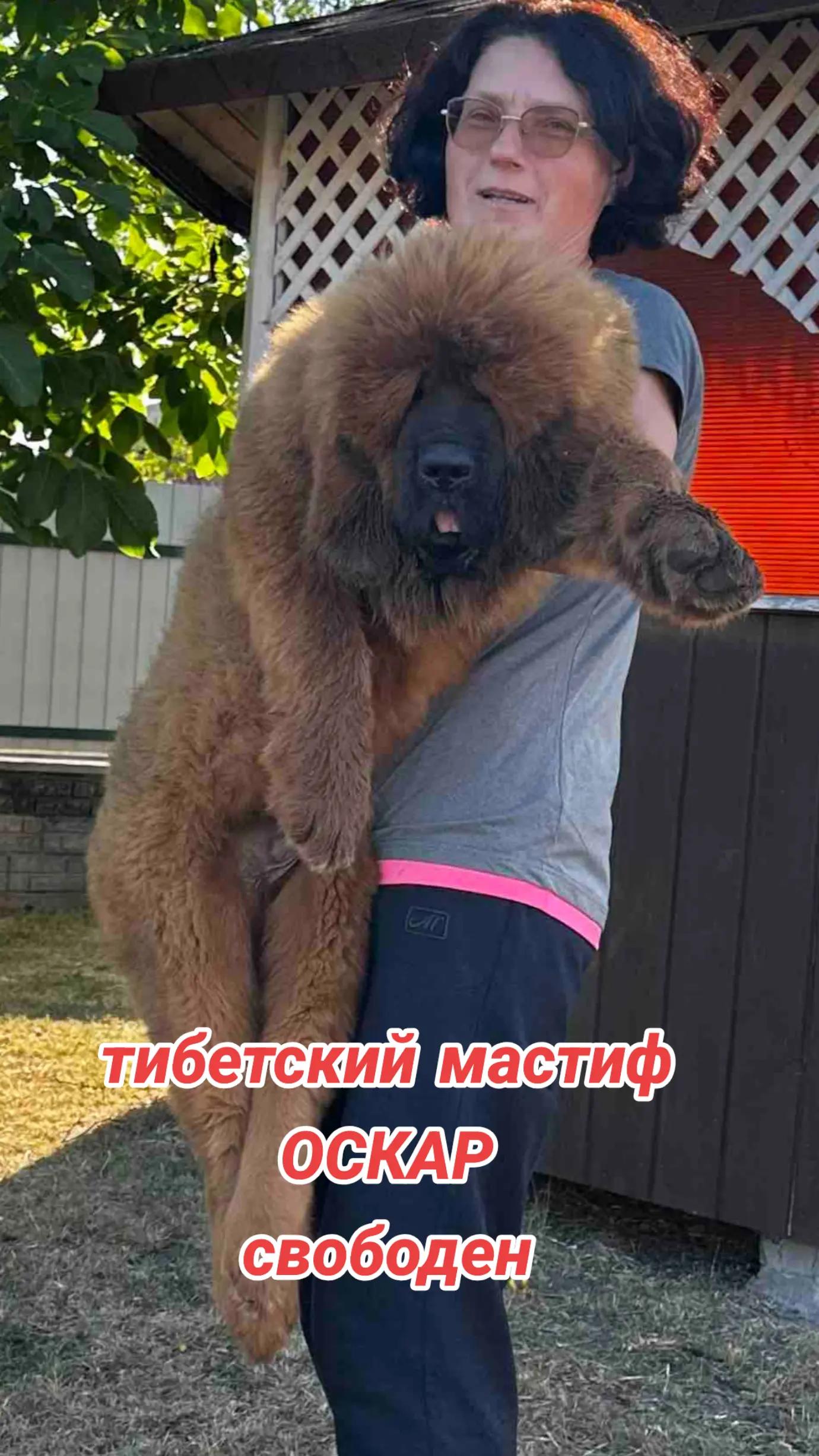 @Петровна