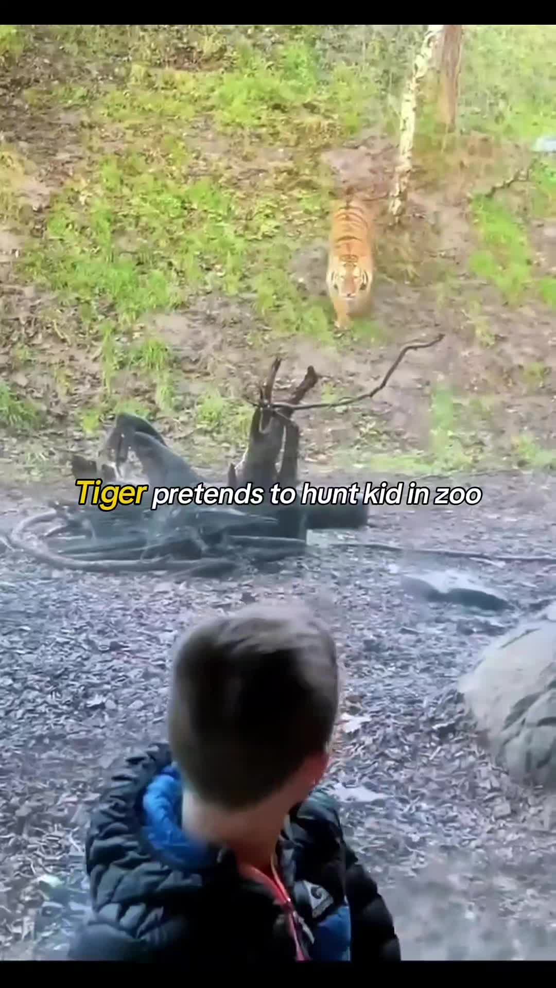 @WildwonderzZzz