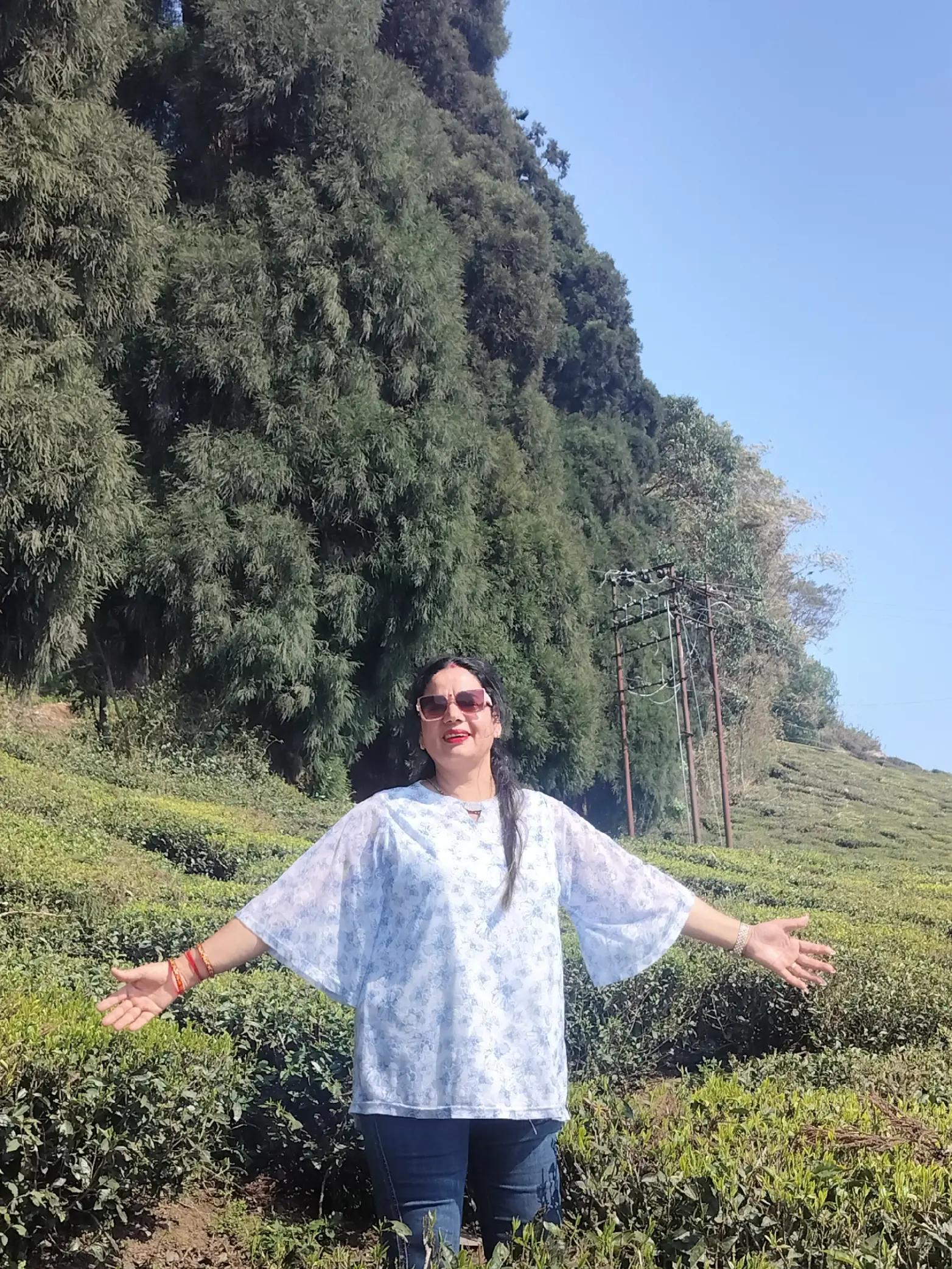 @Yashoda Dahal