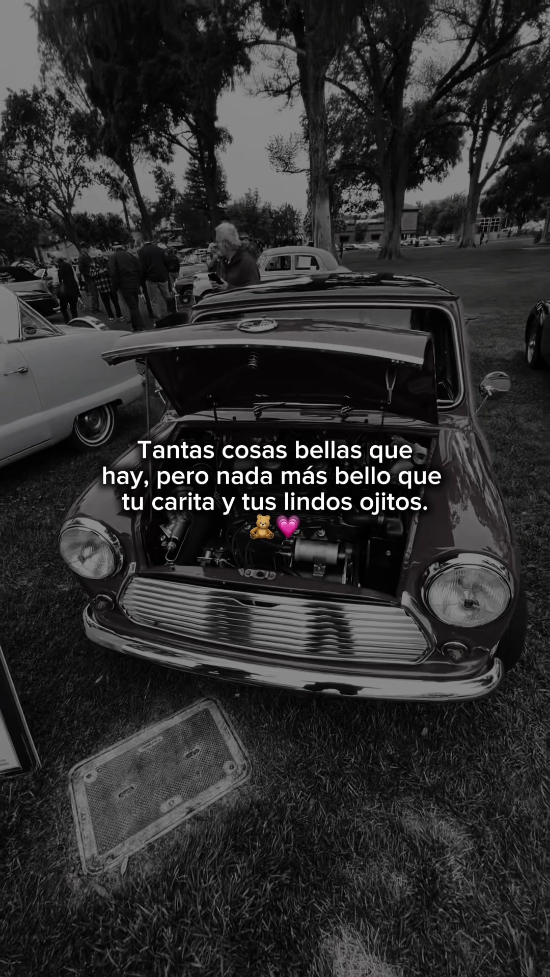 @𝓣𝓱𝓮𝓡𝓮𝓭𝓗𝓸𝓸𝓭𝓲𝓮🔥