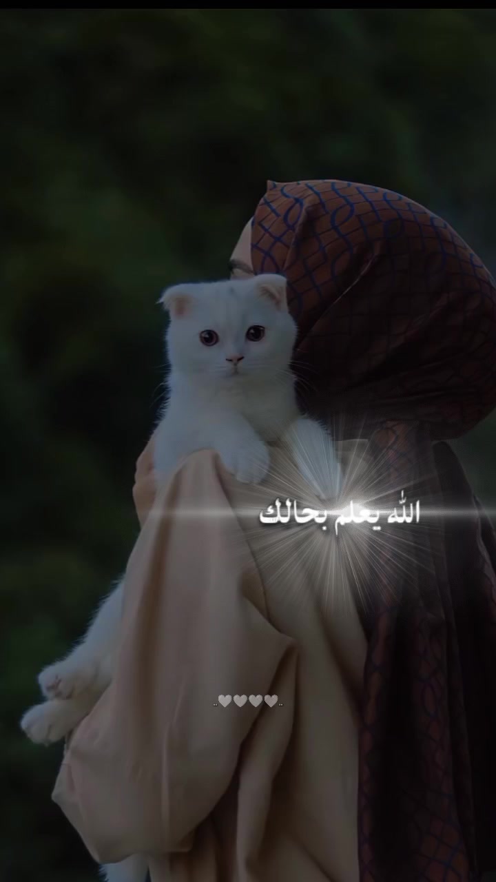 @🦋أثر الفراشة🦋masa