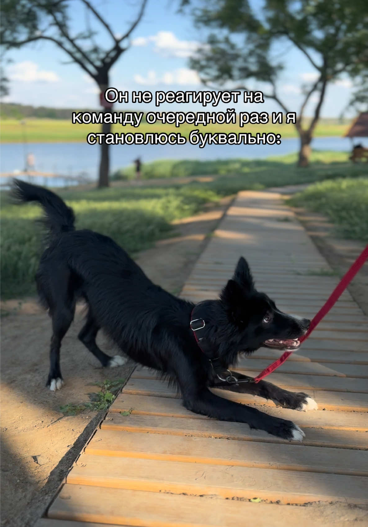 @𝗞𝗮𝗶🐊