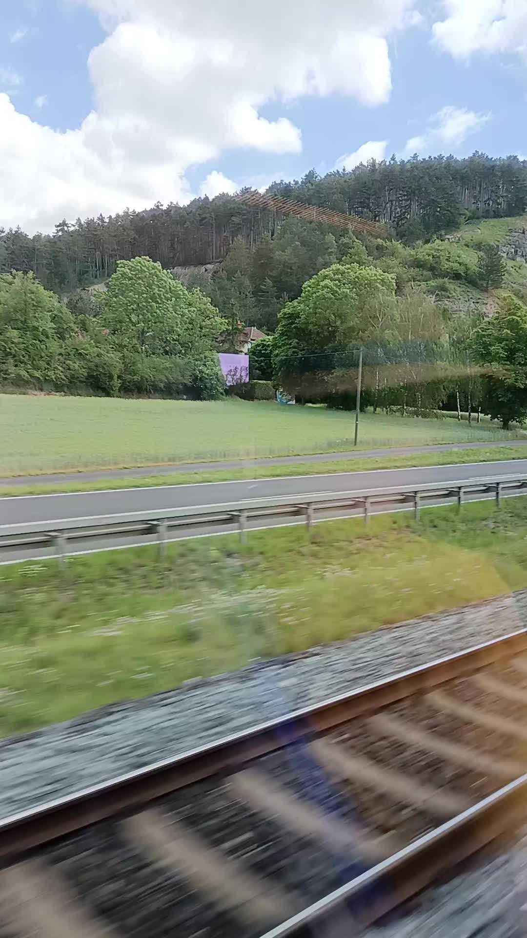 @Au&scaron;ra 🇱🇹❤️🇩🇪❤️