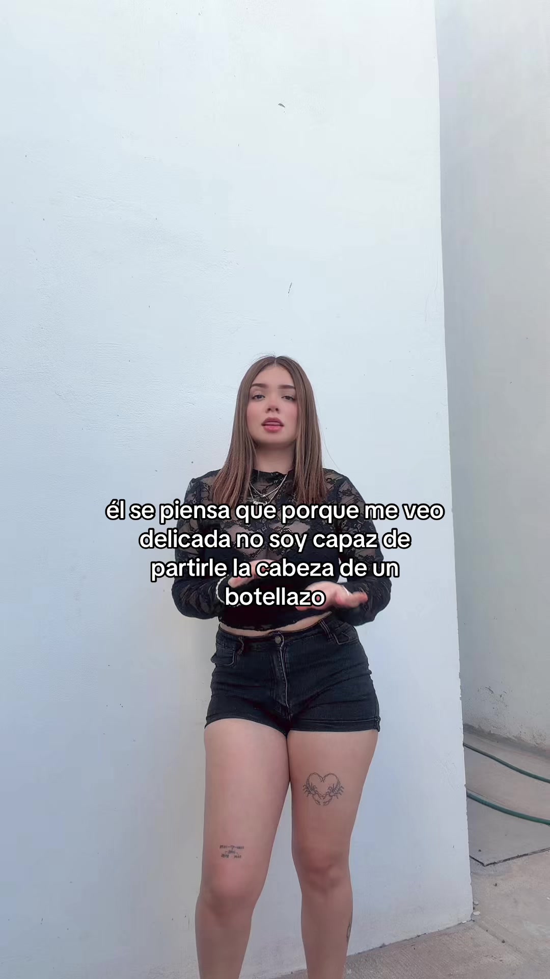 @Ivi 🦖