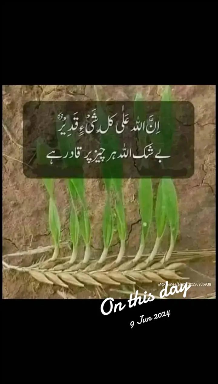 @Rizwan Ashraf