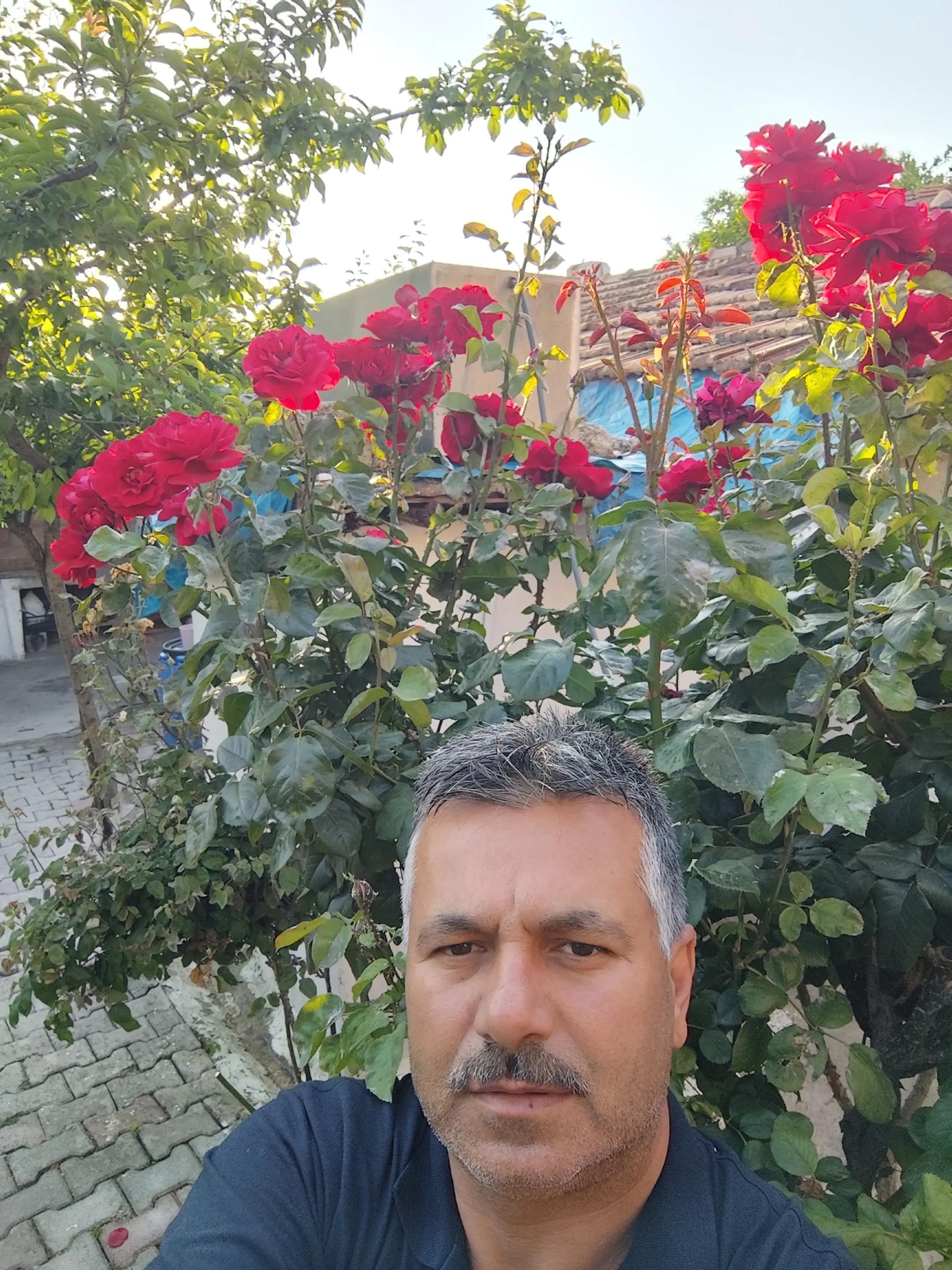 @Ismail Kul