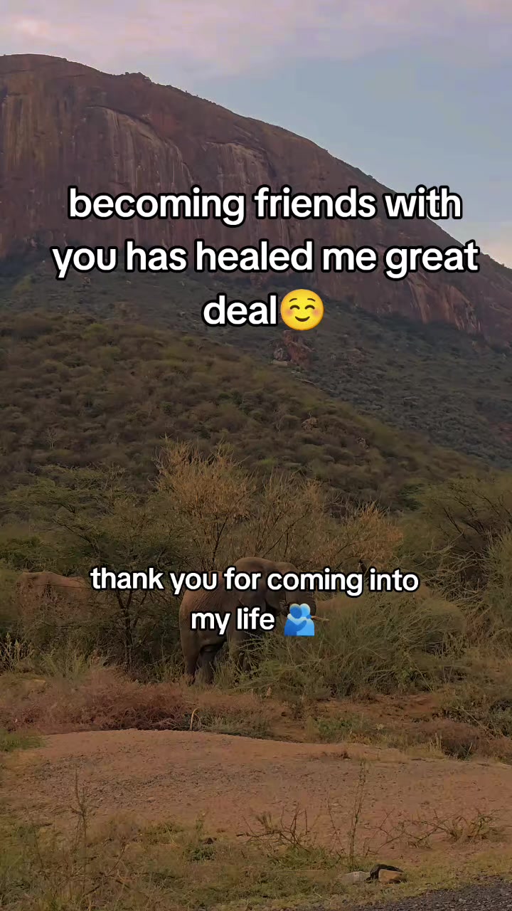 @Enoch.M.M
