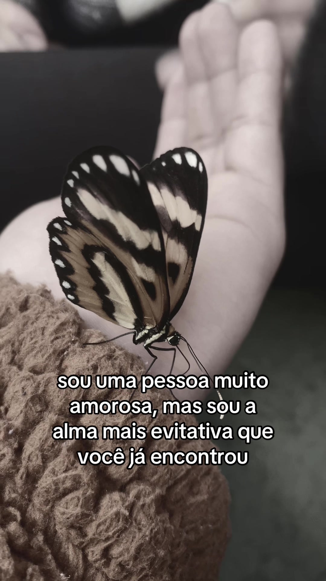 @𝑨__𝒔𝒊𝒎𝒐𝒆𝒔𝒛🧜🏽&zwj;♀️