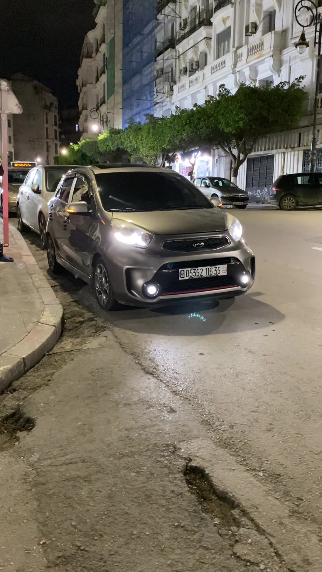 @anis picanto