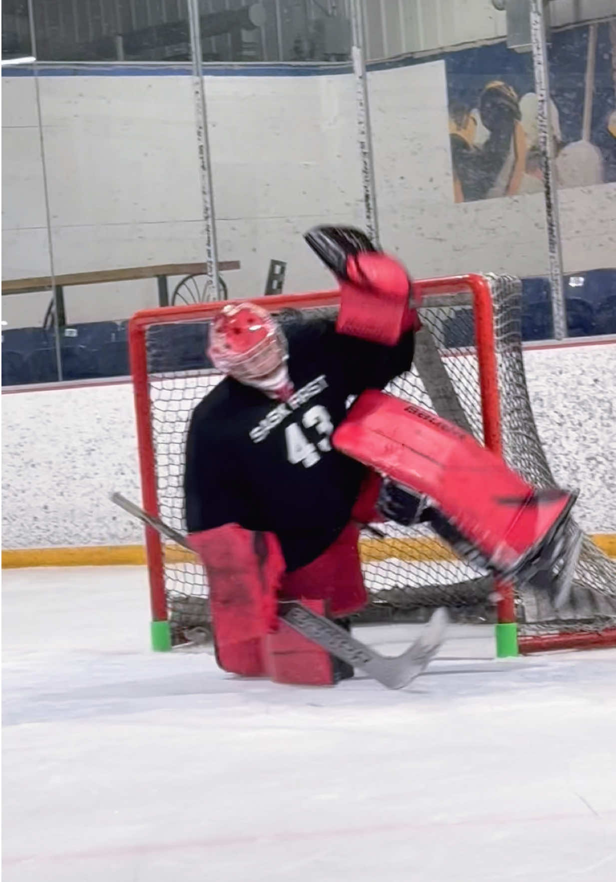 @The TikTok Goalie