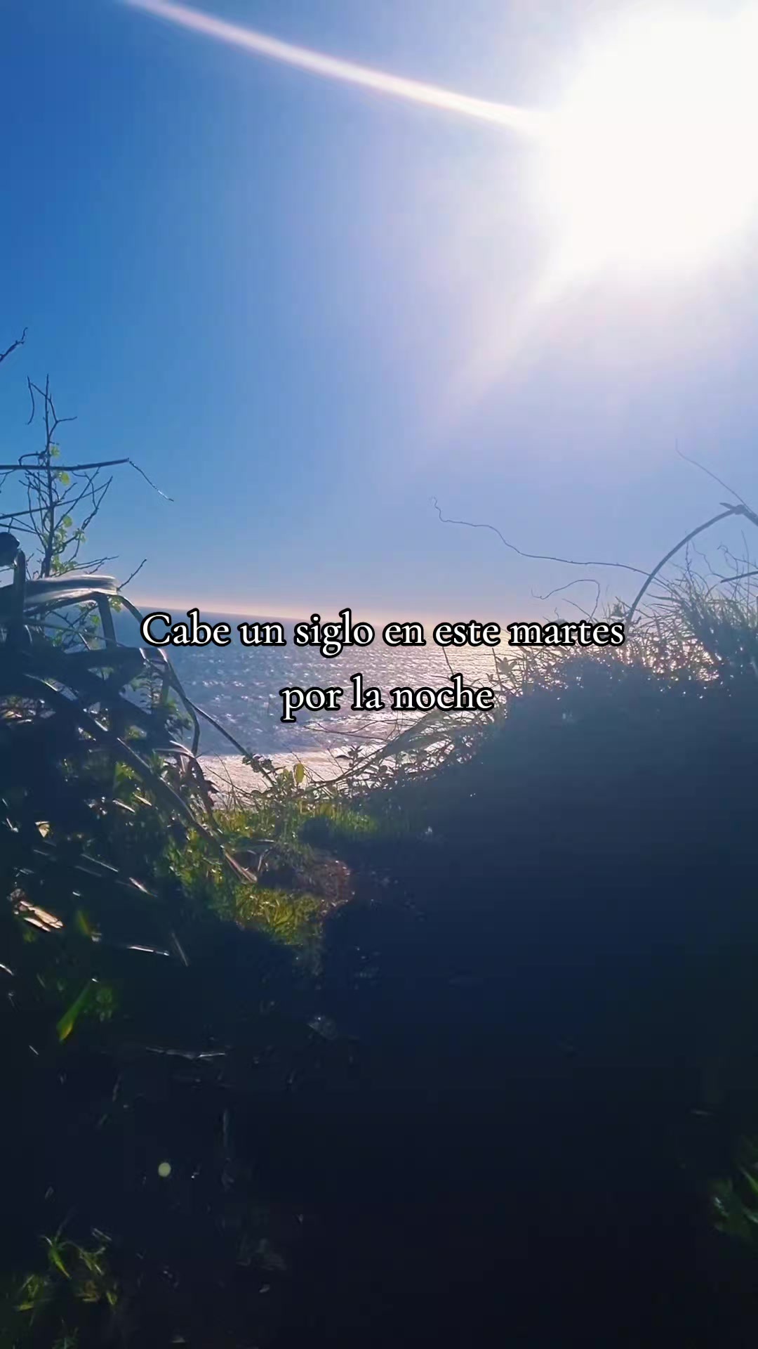@🦋🌻🌸-𝙆𝙚𝙮-🌸🌻🦋