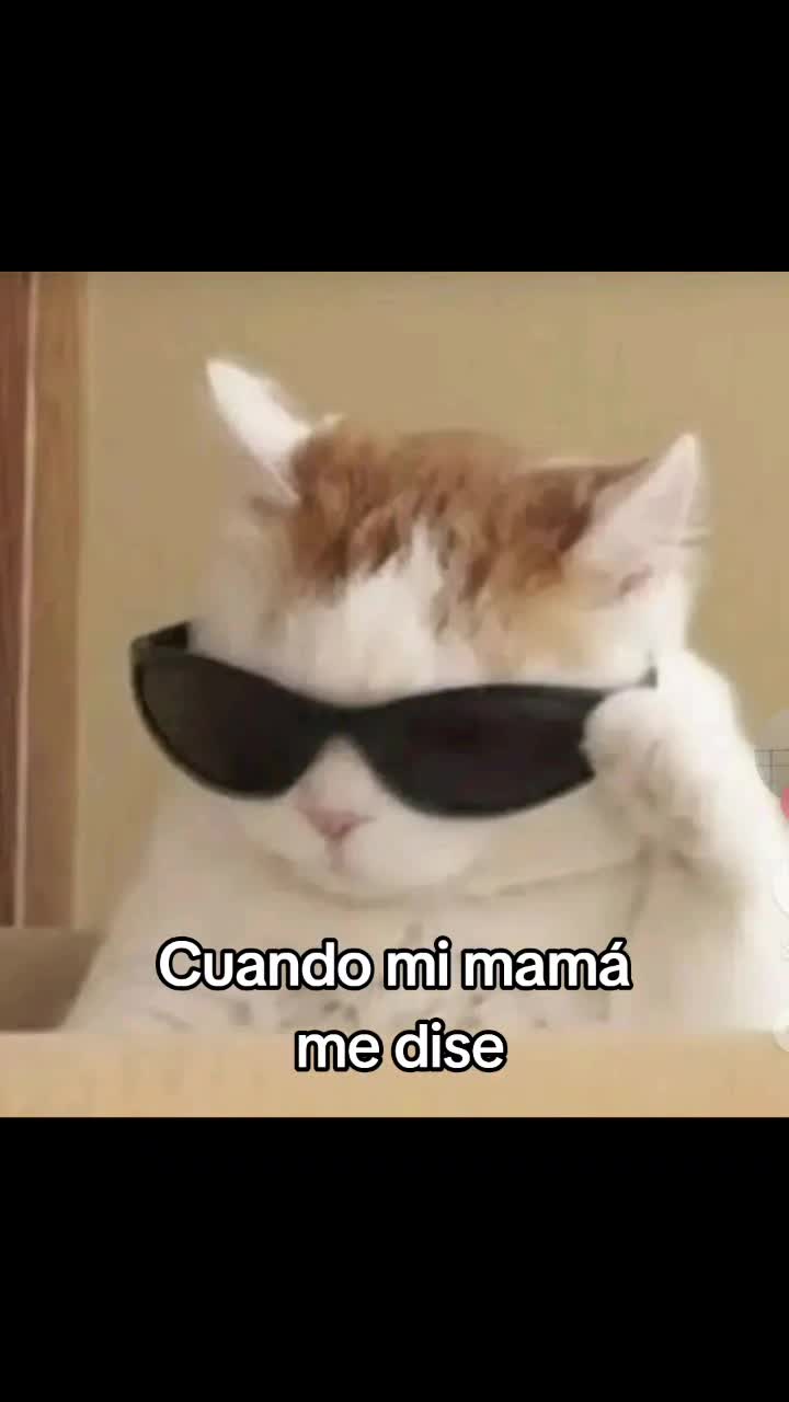 @Sindy123!