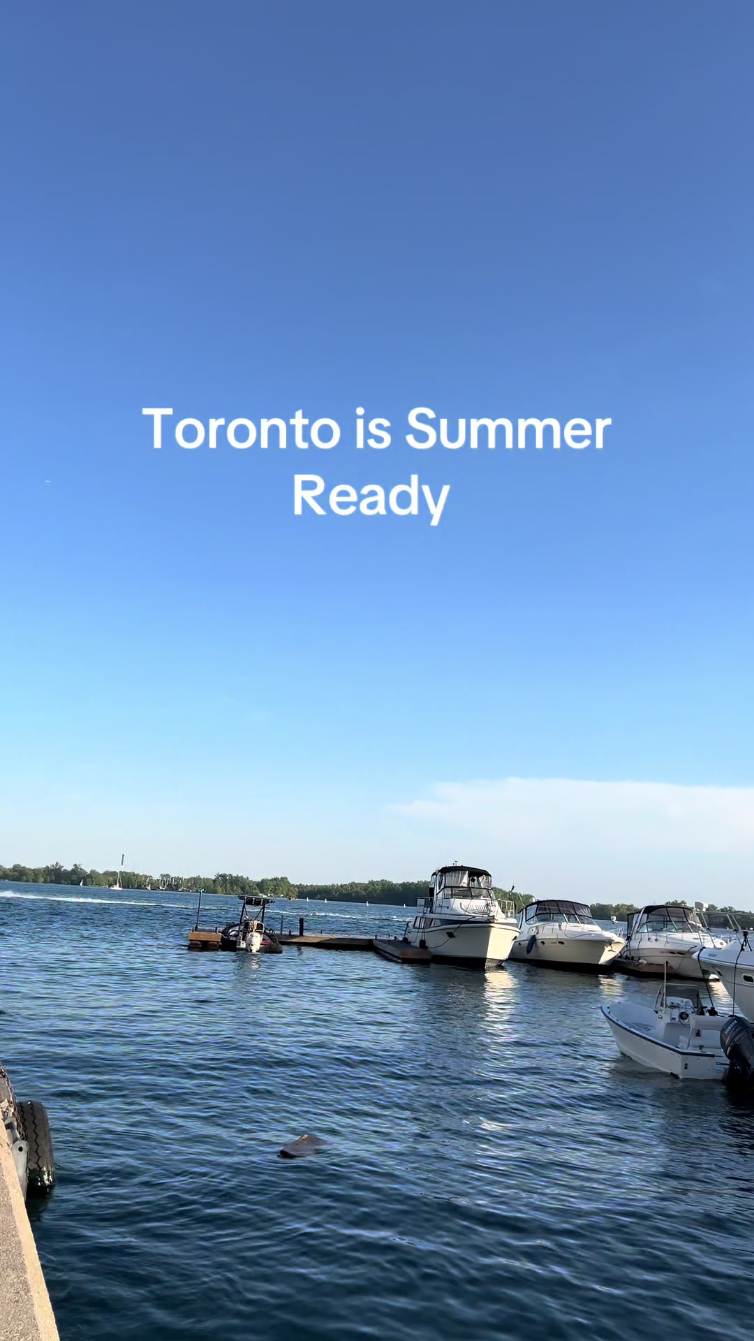 @travelinsightplug