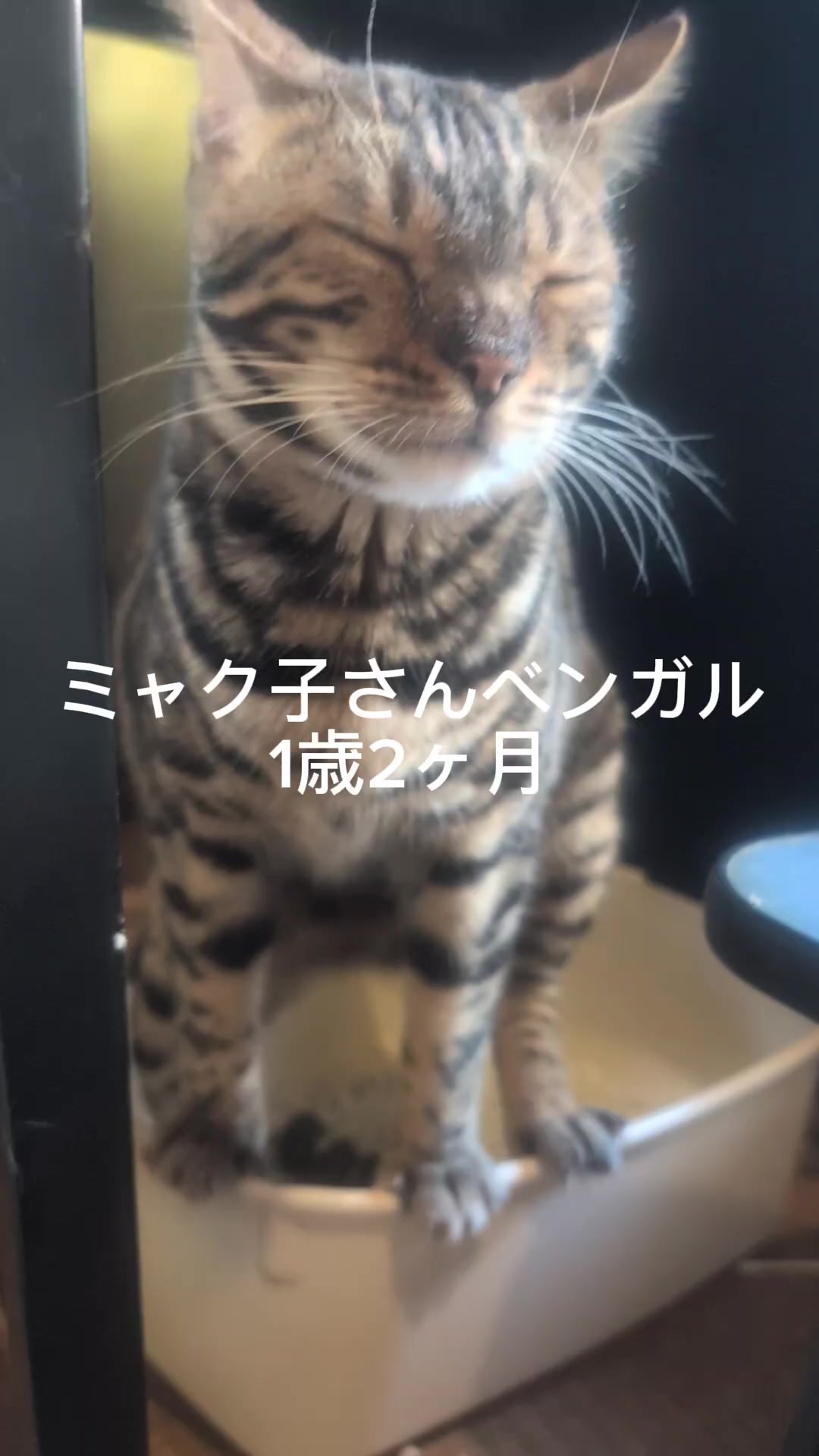 @睡眠プロデュース