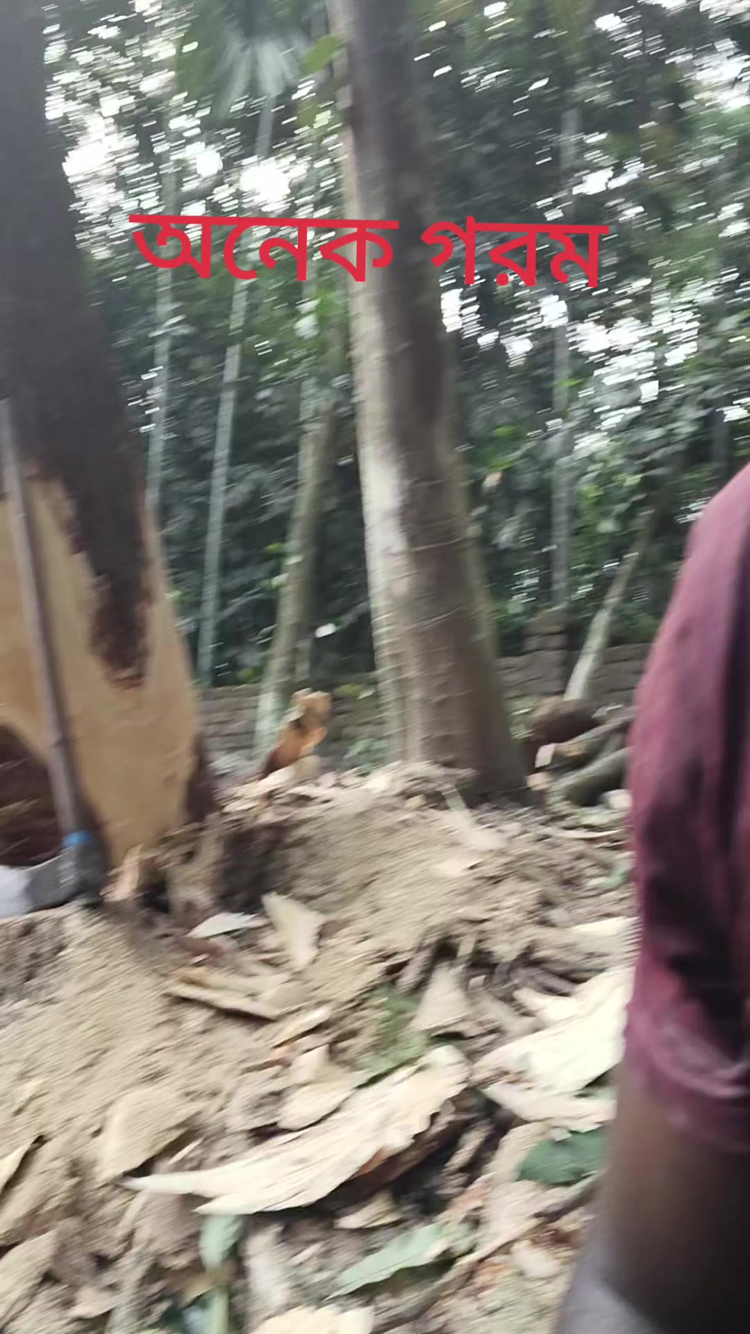@যশোরের পোলা
