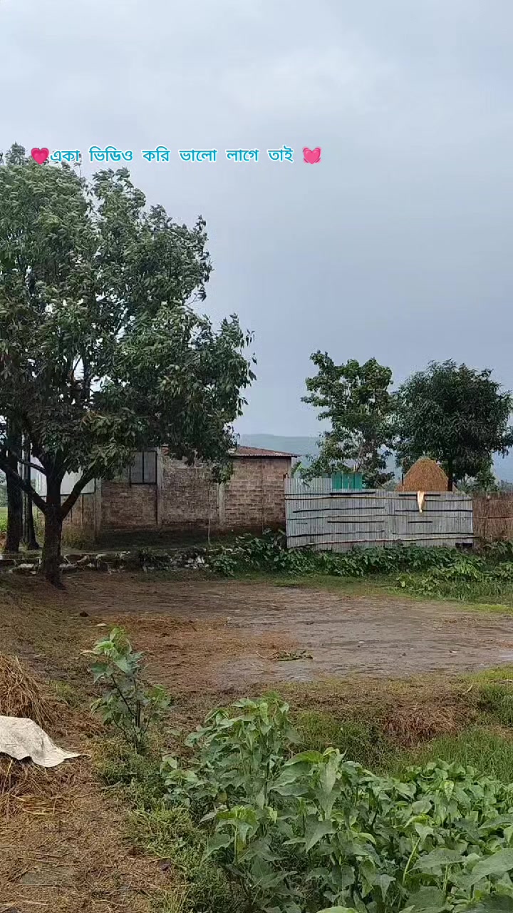 @সুনামগঞ্জের পিচ্চ মেয়ে 💖🥰