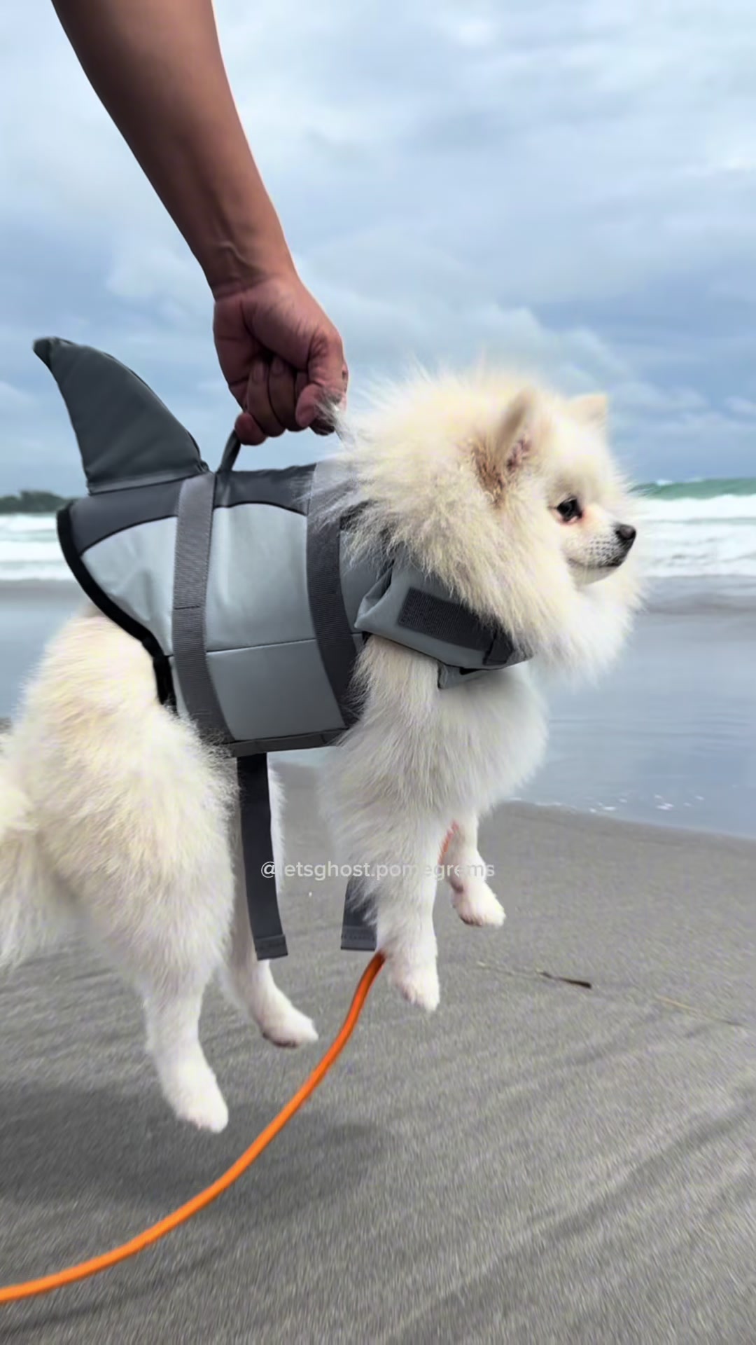 @G H O S T TheRunnerPom