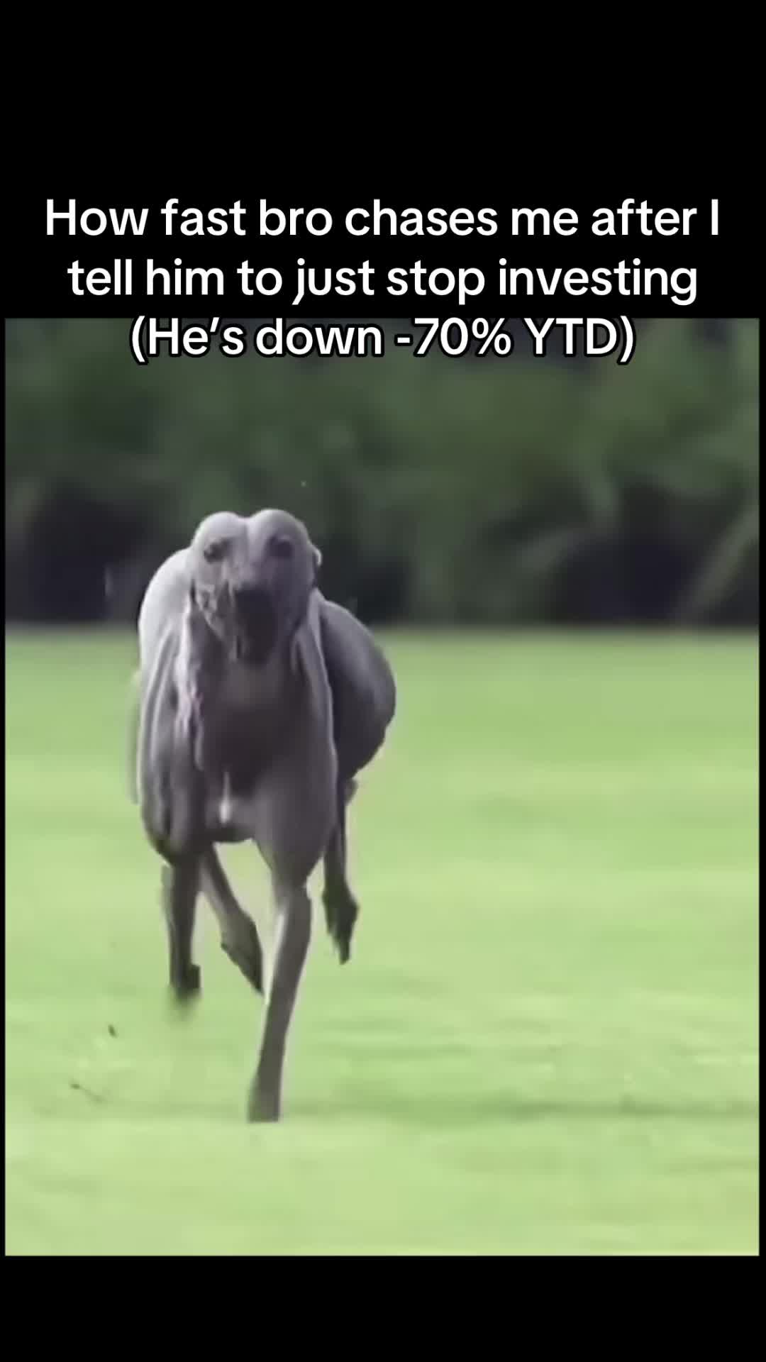 @JakeInvests