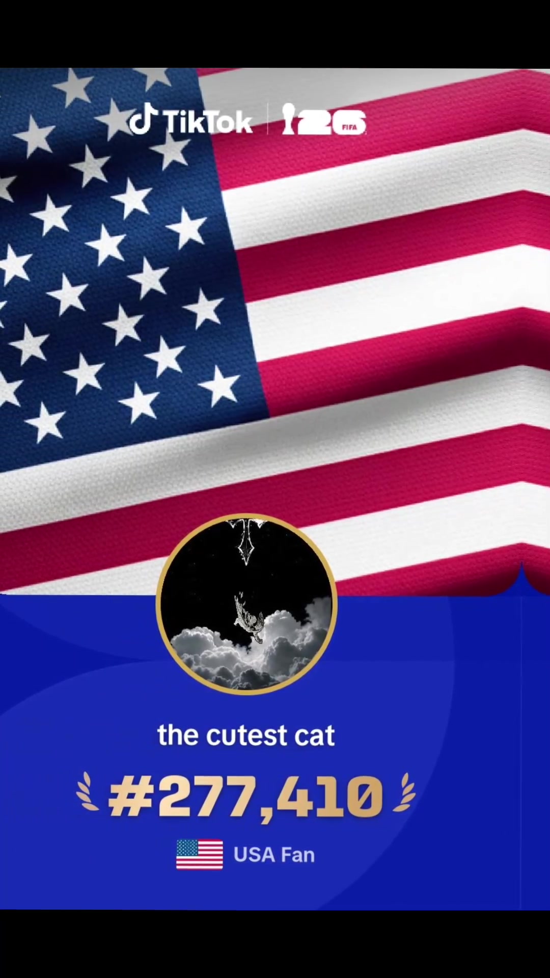 @the cutest cat