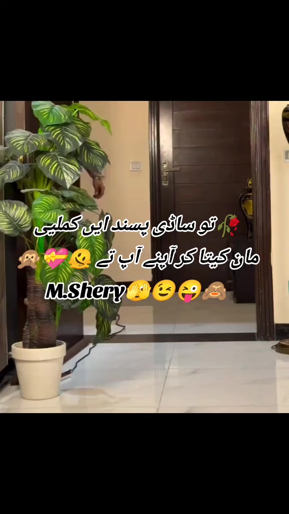 @Shery46
