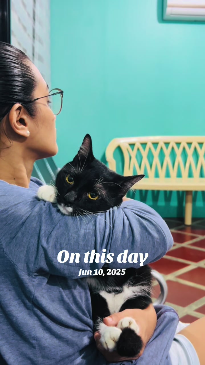 @17meows