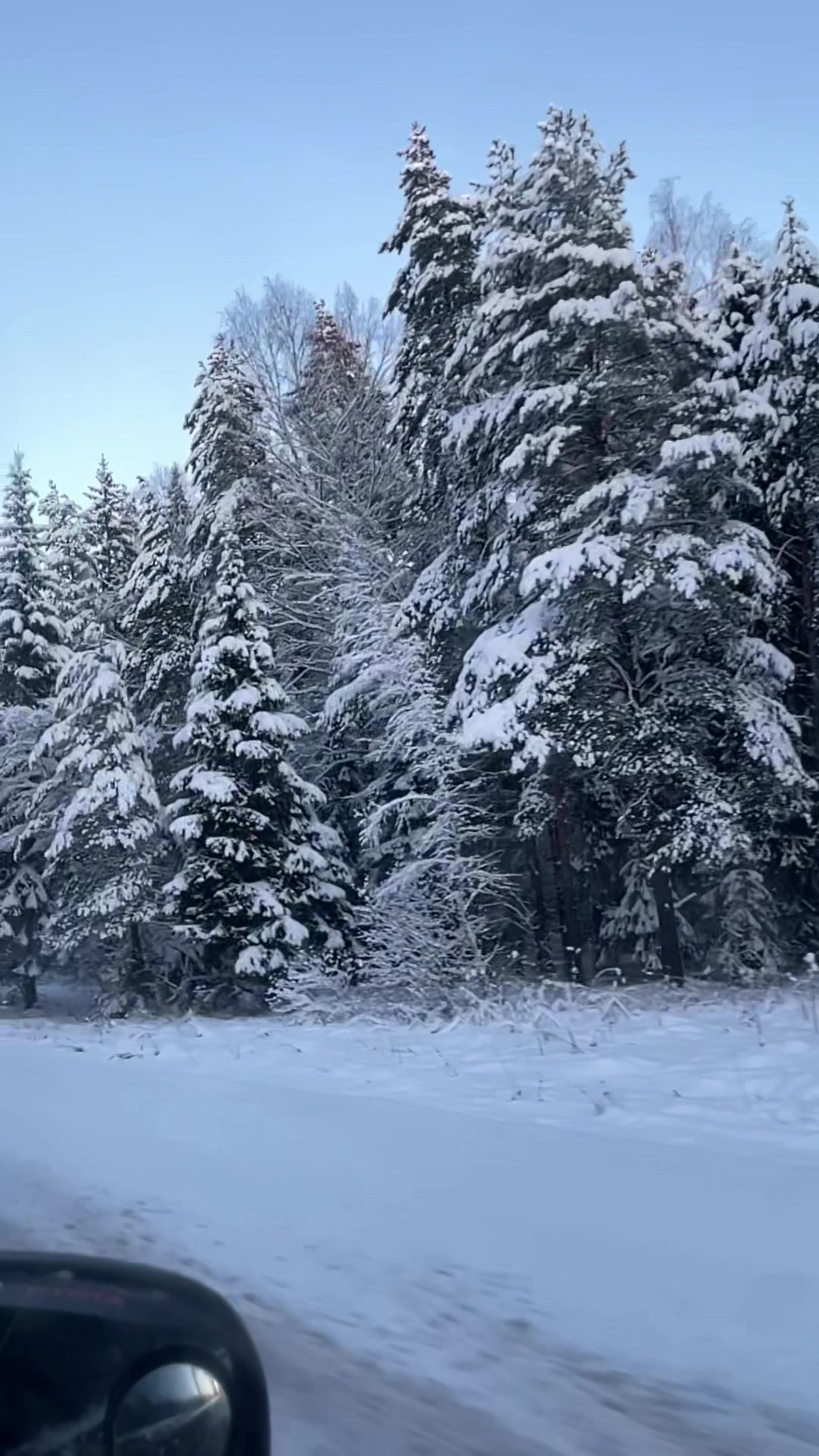 @Щеночки немецкой овчарки)))🐶