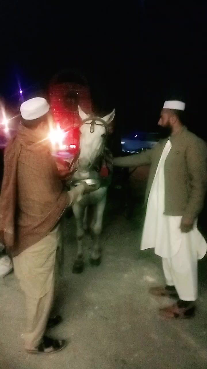 @wali stone house