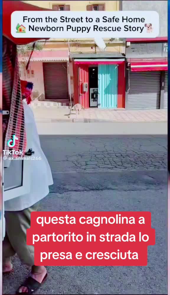 @Francesco Fotia