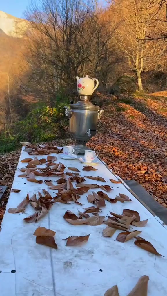 @Zaidov Rəşad