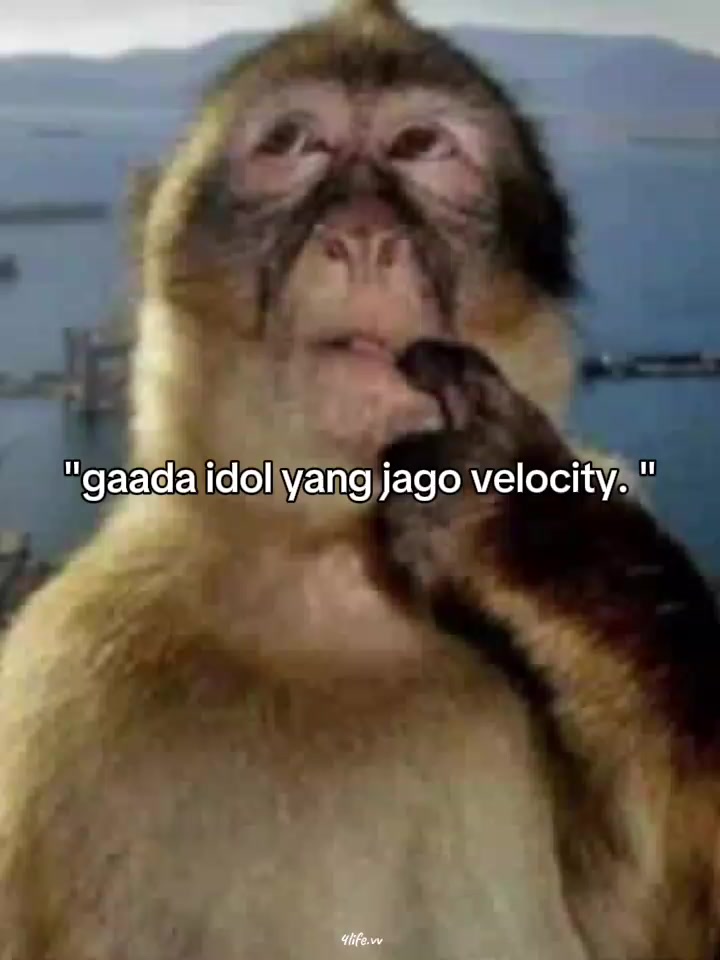 @ᯓᡣ𐭩