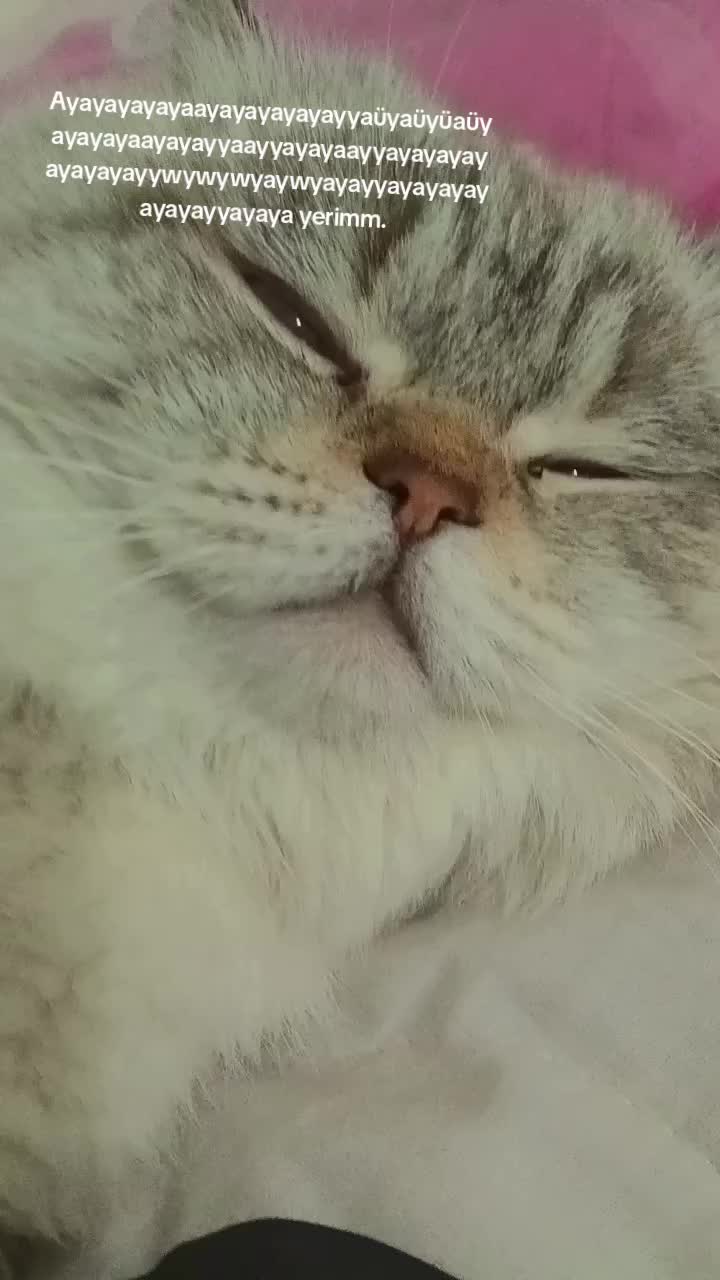 @𝙨𝙩𝙖𝙧⭐