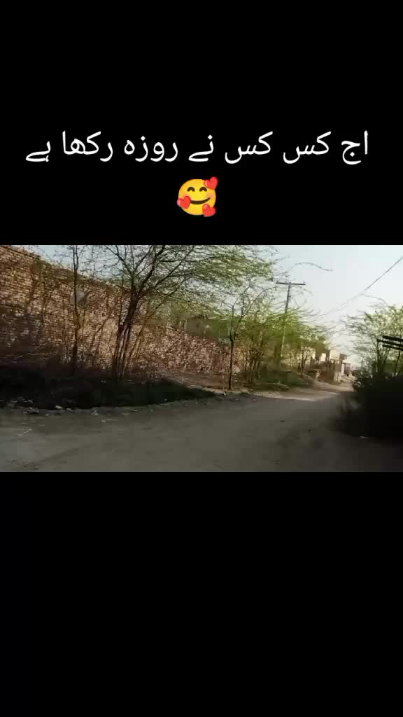 @Ayesha mayo🤍