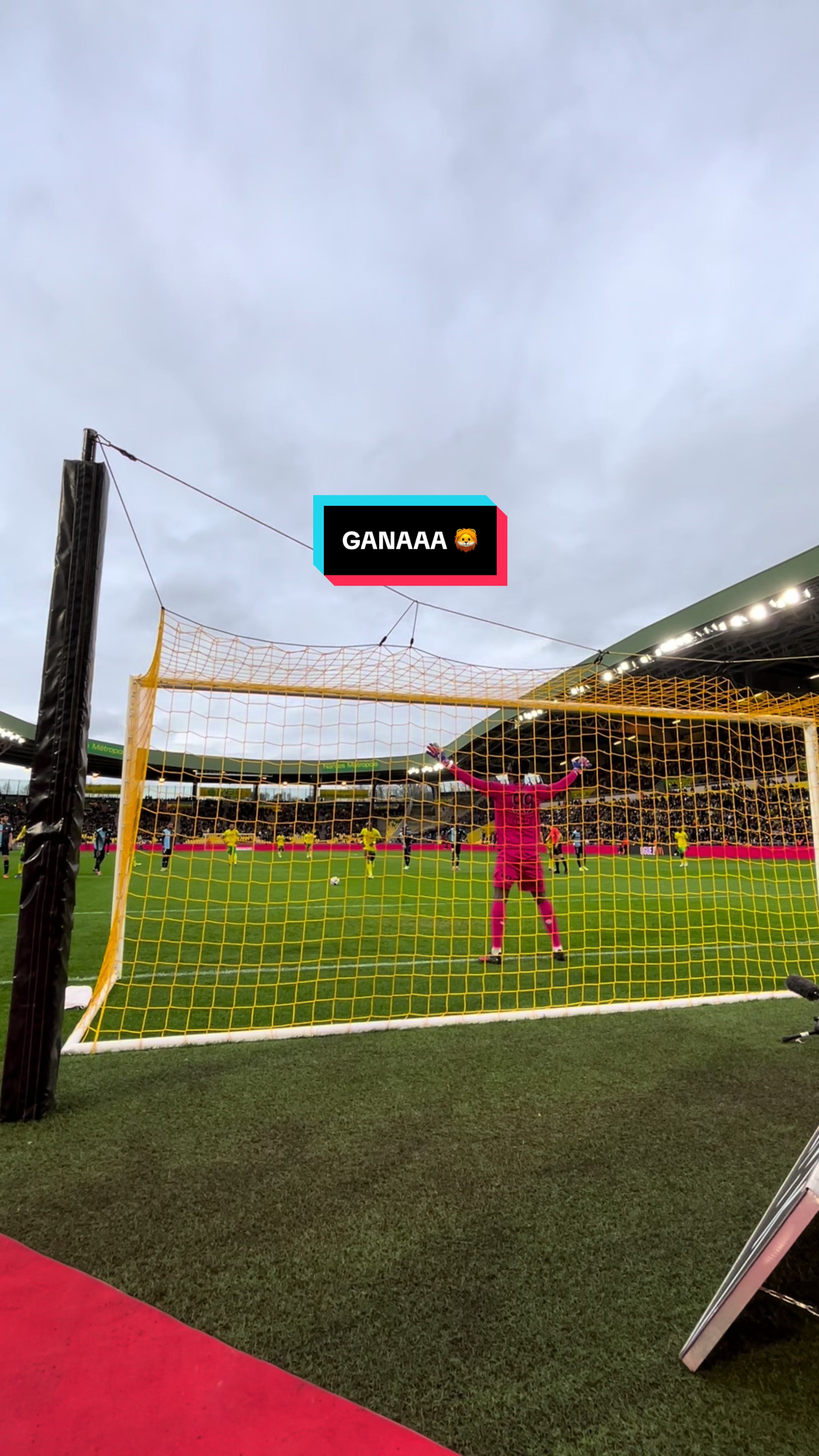 @FC Nantes