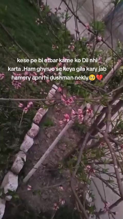 @Heer khanii 💕💖