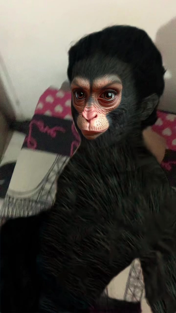 @Lailsonjao