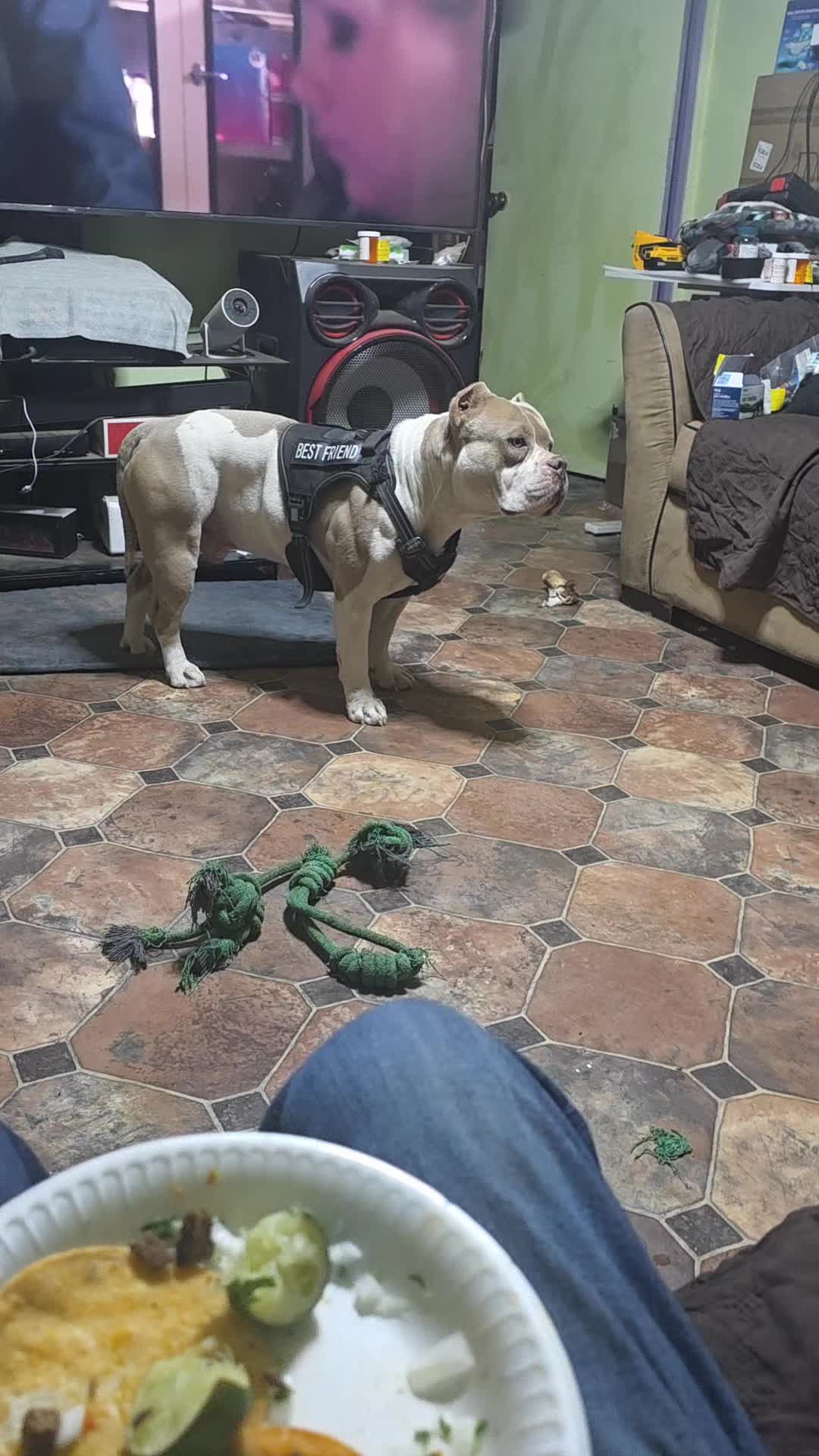 @Jos&eacute; Yair AA