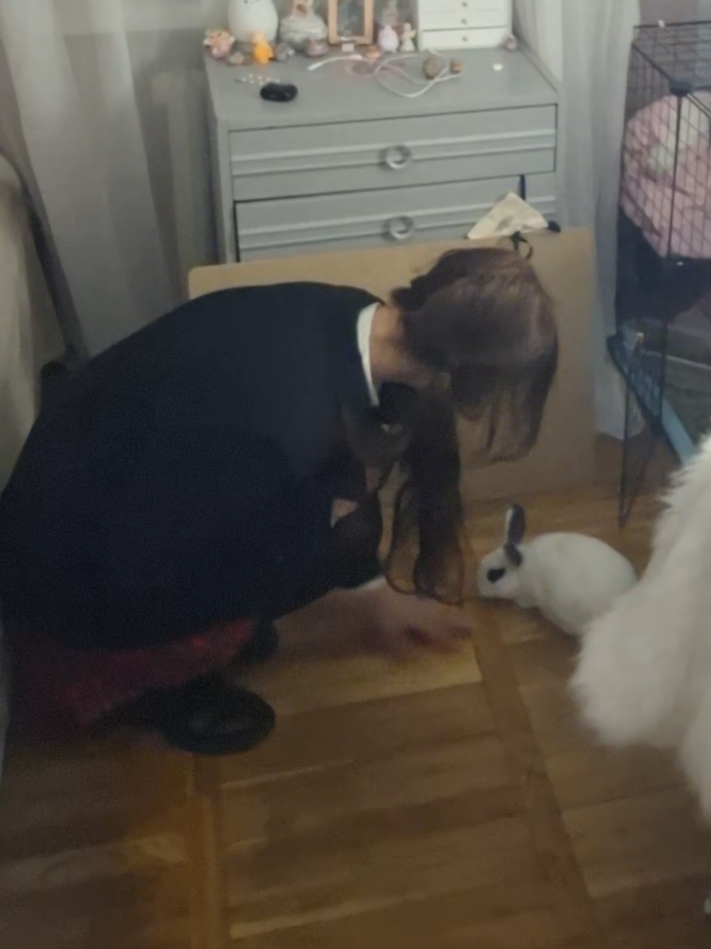 @｡☆foslivarrrr⊰⊹ฺ