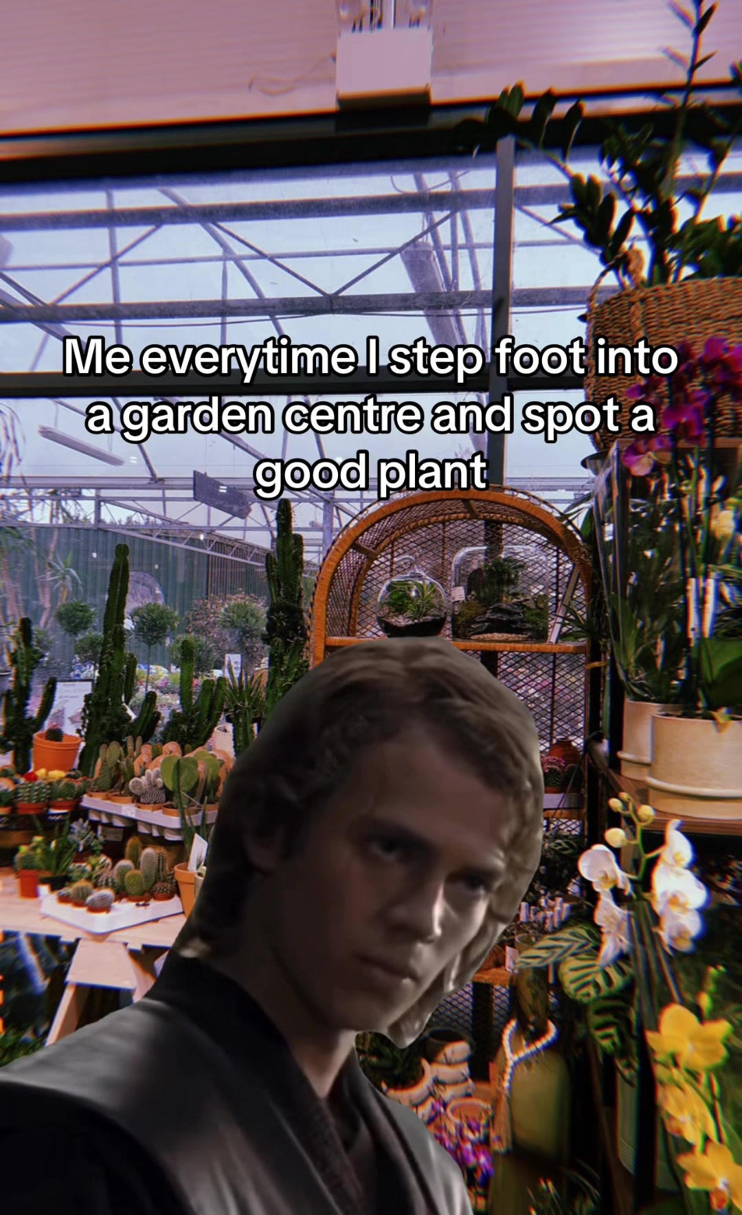 @Megan 🌱🪴📚🦇