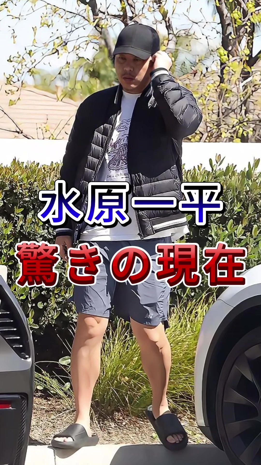 @阿嘉菜葉