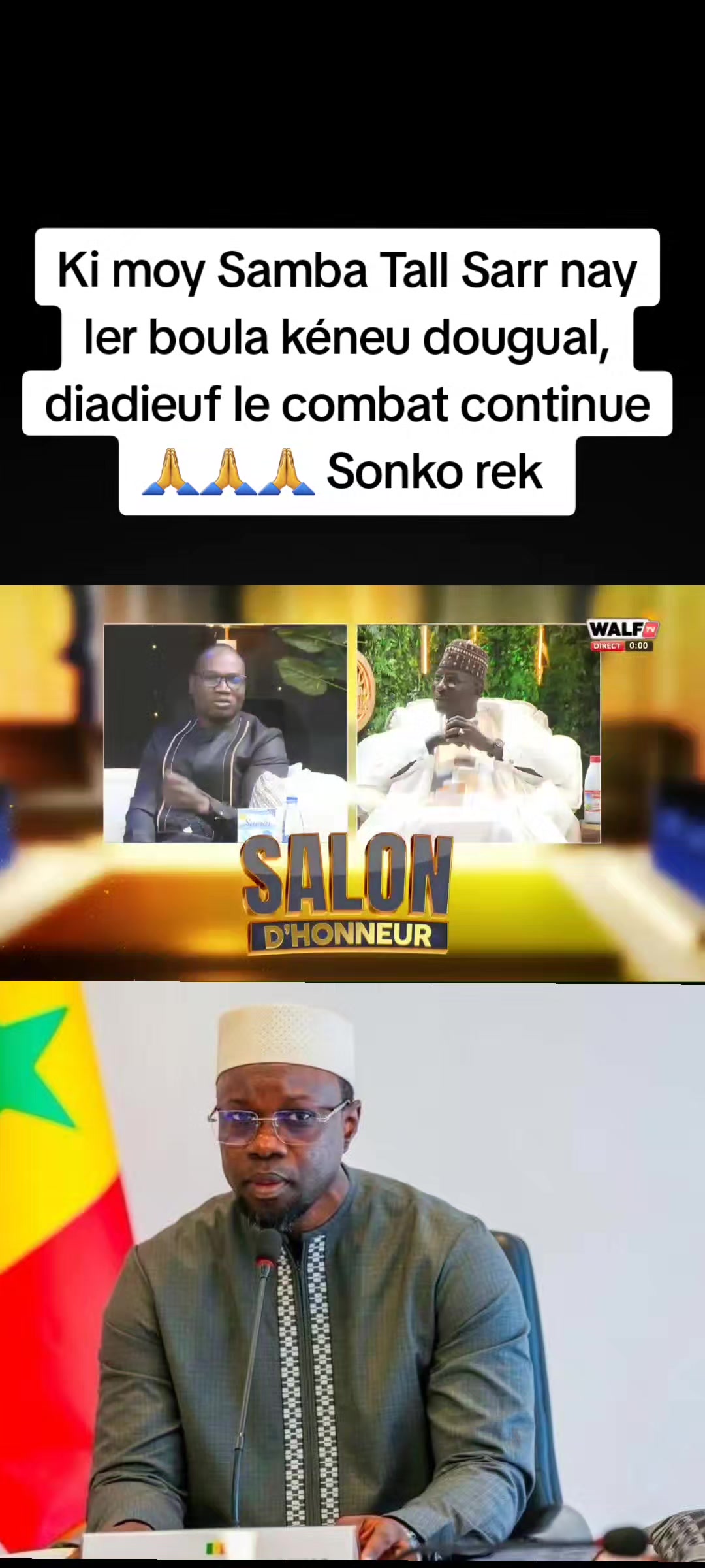 @Sonkovisionnaire(👁 de vision)